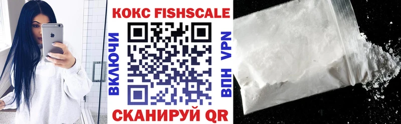 Купить закладки  Гудермес  COCAIN Fish Scale 