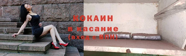 гашик Елизово