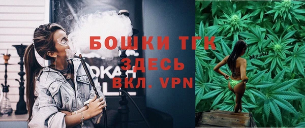 гашик Елизово