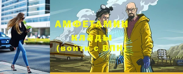 гашик Елизово