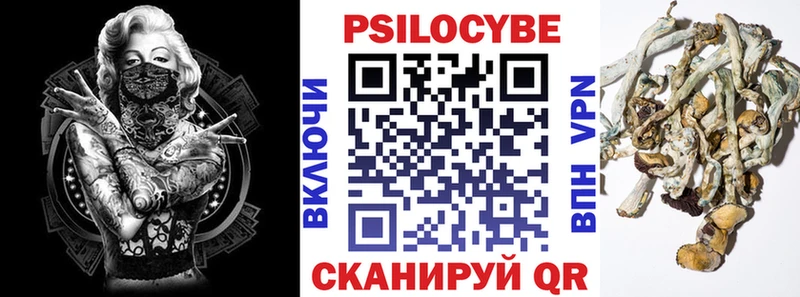 Псилоцибиновые грибы Psilocybine cubensis  Купить  Гудермес 